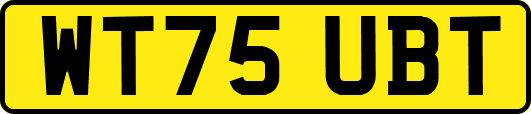 WT75UBT