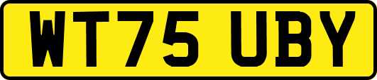 WT75UBY