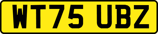 WT75UBZ