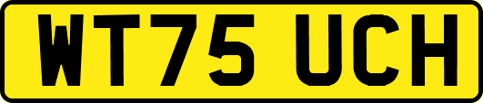 WT75UCH
