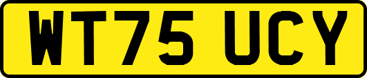 WT75UCY