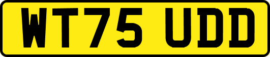 WT75UDD