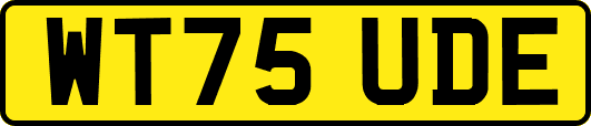 WT75UDE
