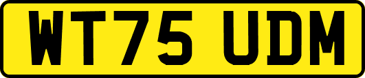 WT75UDM