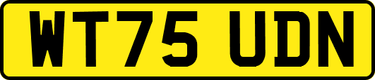 WT75UDN