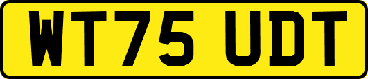 WT75UDT