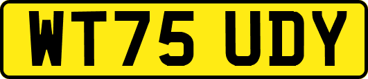 WT75UDY