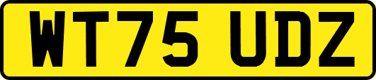 WT75UDZ