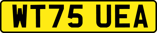 WT75UEA