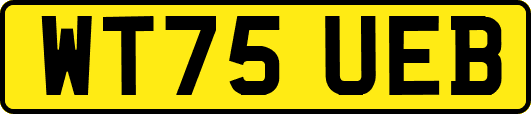 WT75UEB