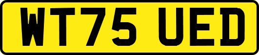 WT75UED