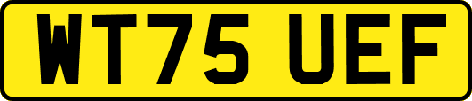 WT75UEF