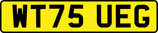 WT75UEG