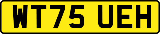 WT75UEH