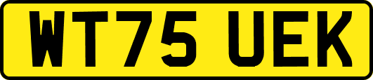 WT75UEK