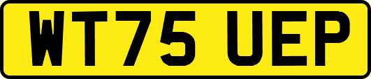 WT75UEP