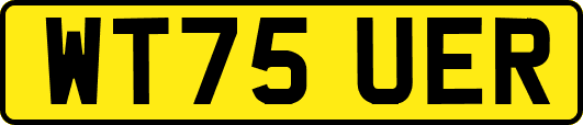 WT75UER