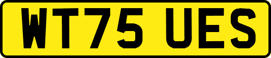 WT75UES