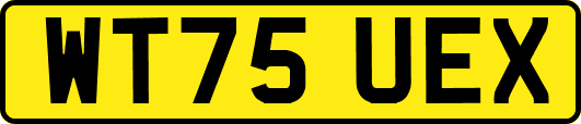 WT75UEX