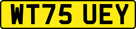 WT75UEY