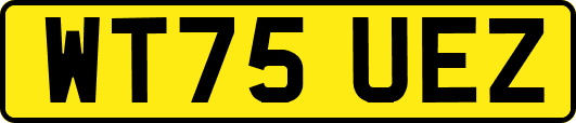 WT75UEZ