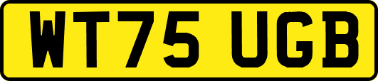 WT75UGB
