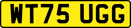 WT75UGG