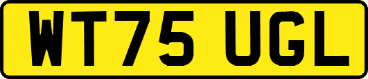 WT75UGL