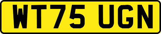 WT75UGN