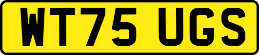 WT75UGS