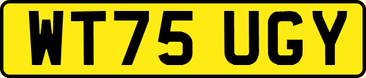 WT75UGY
