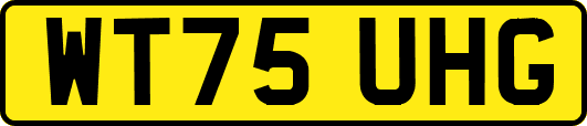 WT75UHG