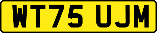 WT75UJM