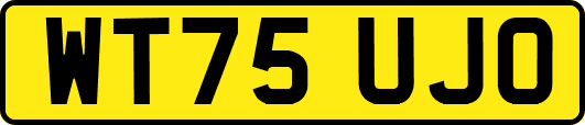 WT75UJO