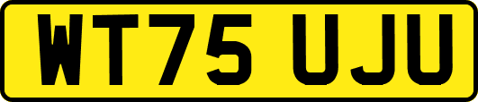 WT75UJU