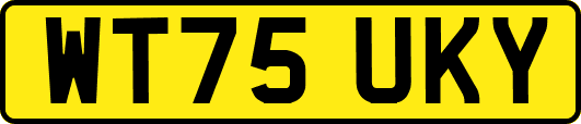 WT75UKY