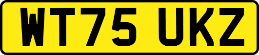 WT75UKZ