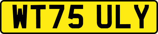 WT75ULY