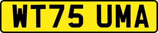 WT75UMA