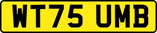 WT75UMB