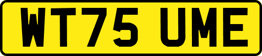 WT75UME