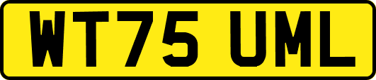 WT75UML