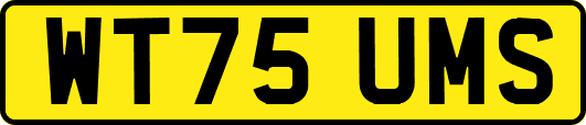 WT75UMS