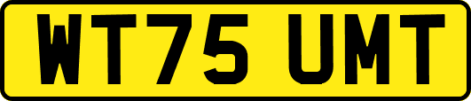WT75UMT