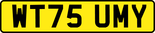 WT75UMY