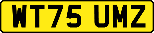 WT75UMZ