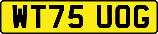 WT75UOG
