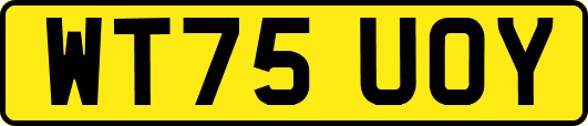 WT75UOY