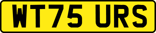 WT75URS