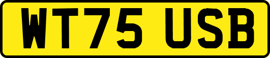 WT75USB